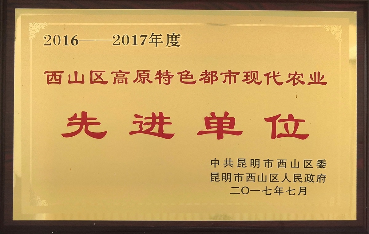 高原特色都市現代化農業先進單位1.jpg
